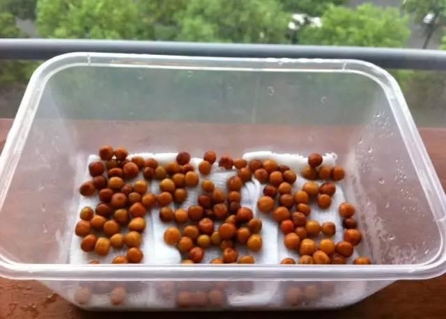 1541216384177263.jpg 3.jpg