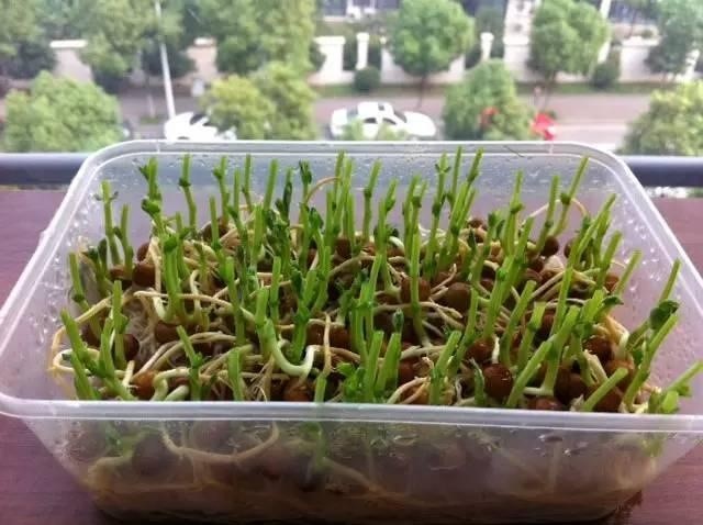 1541216409767445.jpg 7.jpg